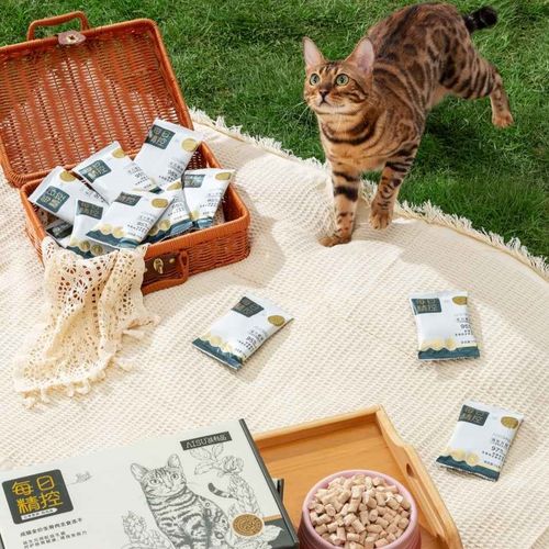 All-life-stage Raw Meat Freeze-dried Cat Food for Adult Cats