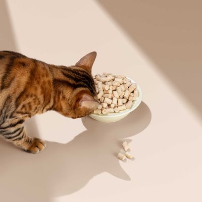 Good price Raw Meat and Bones Freeze-Dried Staple Food for Cats A Complete Meal online