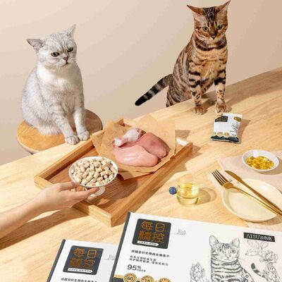Bon prix La viande crue est un choix nutritif et délicieux pour les chats en ligne